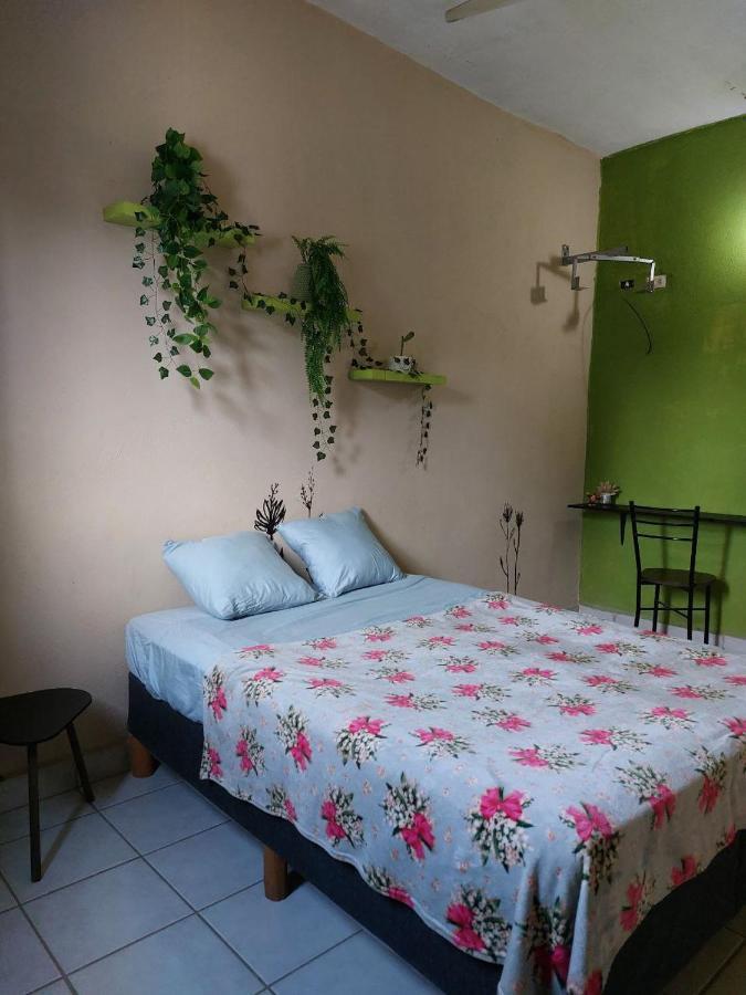 Cho Ku Rei Hostal San José del Cabo Zewnętrze zdjęcie