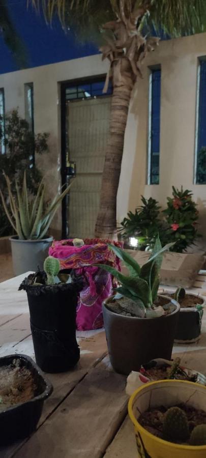 Cho Ku Rei Hostal San José del Cabo Zewnętrze zdjęcie