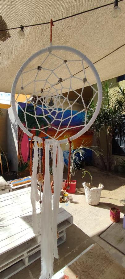 Cho Ku Rei Hostal San José del Cabo Zewnętrze zdjęcie