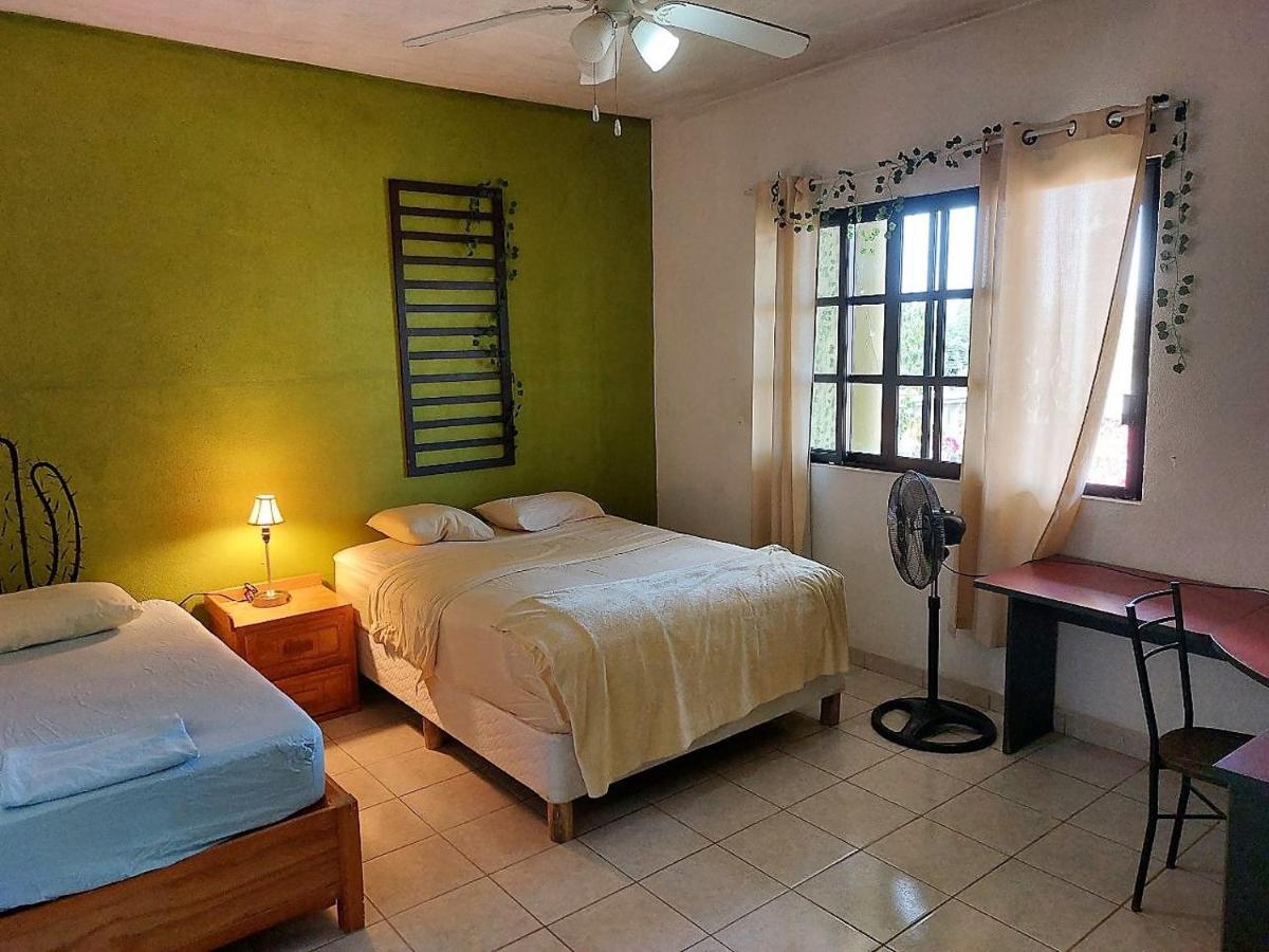 Cho Ku Rei Hostal San José del Cabo Zewnętrze zdjęcie