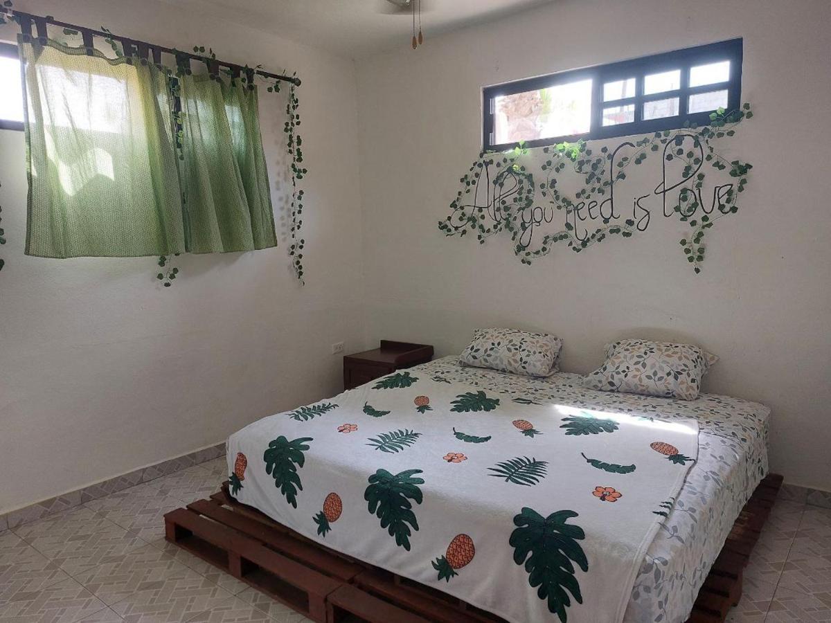 Cho Ku Rei Hostal San José del Cabo Zewnętrze zdjęcie